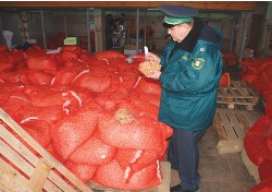 Федеральная служба Россельхознадзора, г. Москва