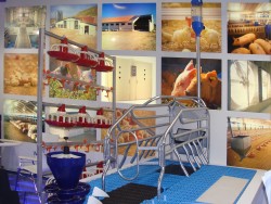Международная выставка «Мясная промышленность. Куриный Король /VIV Russia 2011»